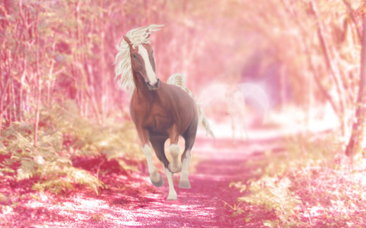 965036 (a): :1920x1200
